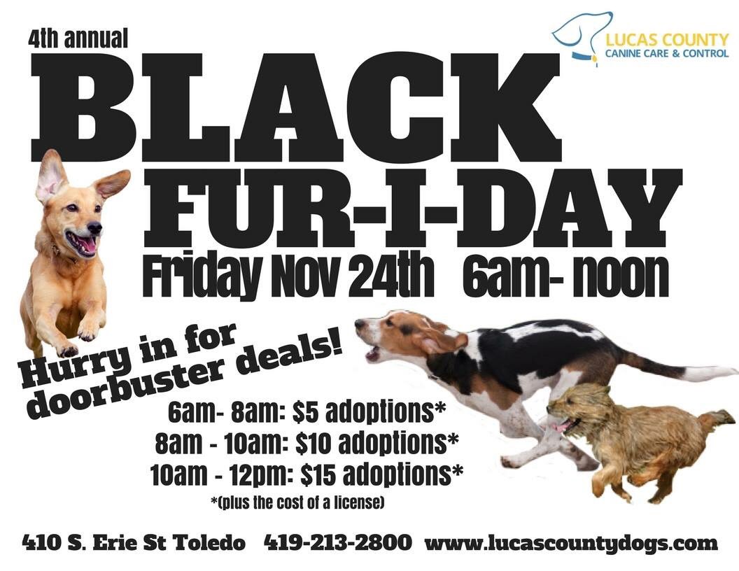LucasCountyDogs's tweet photo. It's back Toledo!  We are 3 weeks away from our 4th annual Black Fur-i-day! Doors open up at 6 am!#adoptashelterdog #toledo419 #blackfriday https://t.co/HJktxh3i9W