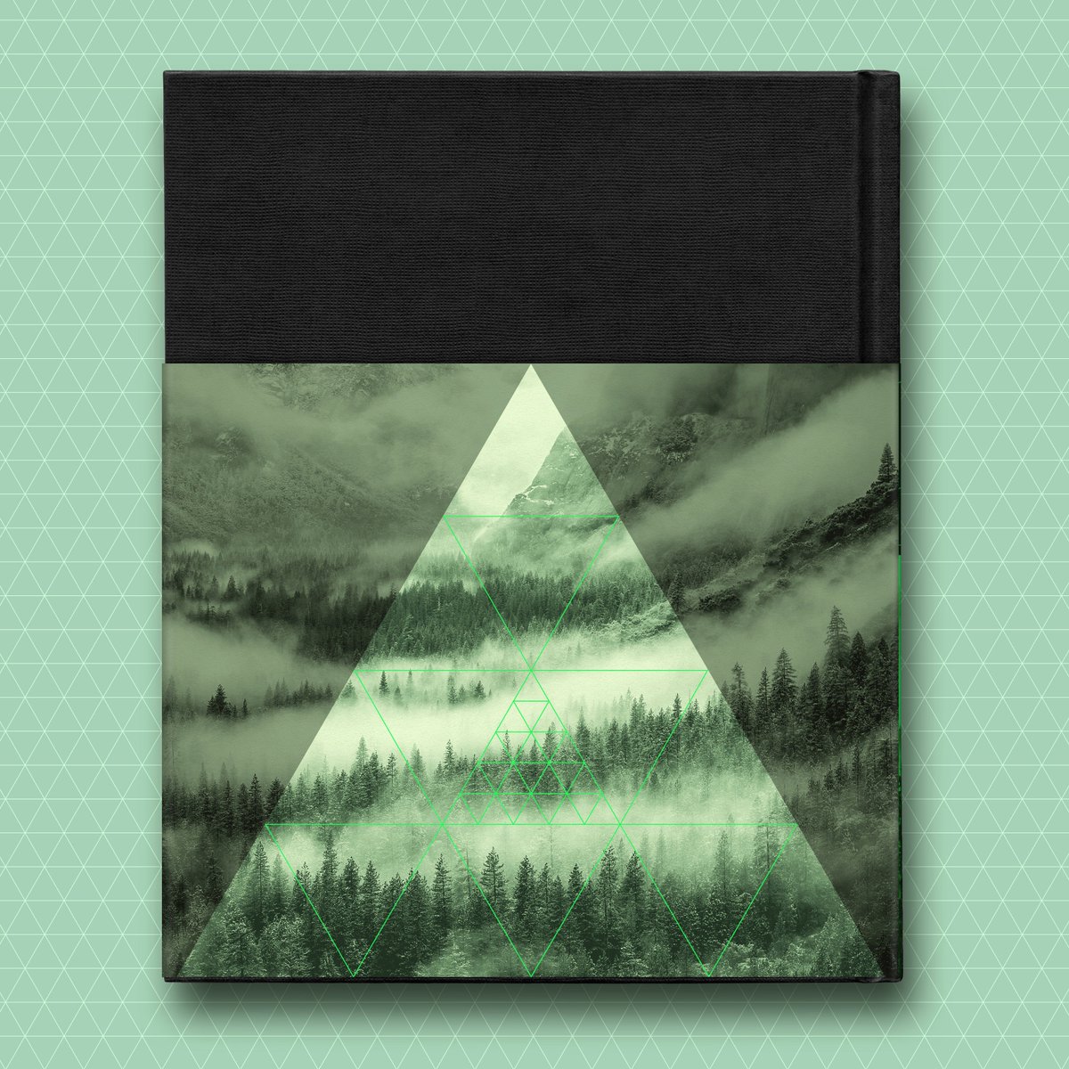 Headcase_Design's tweet image. The second Twin Peaks volume we designed was released on Tuesday! #TwinPeaks #thisisthewaterandthisisthewell @mfrost11 @flatironbooks