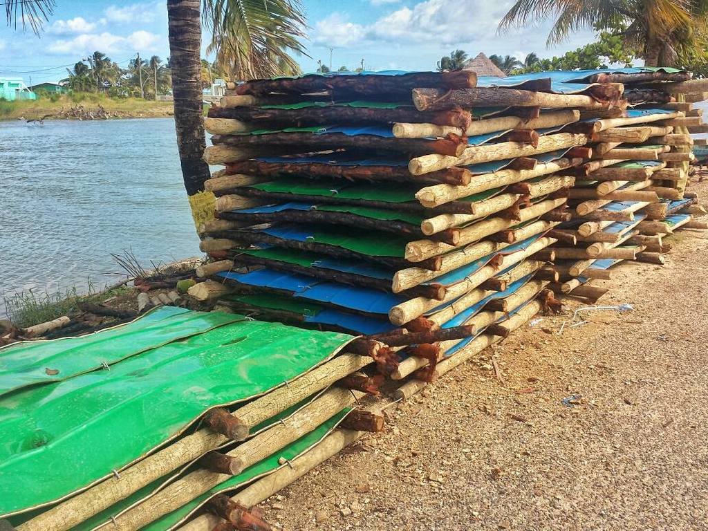 Belizean fisherman get creative to build traps during lobster season! 🌊 After cutting old oil drums down to size, … ift.tt/2hbjq7S