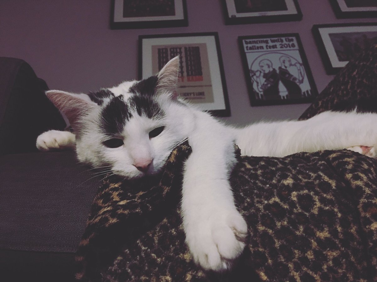 joelneill's tweet photo. Vibes 😴
#BrodyHellcat https://t.co/DCFjgzb8rc