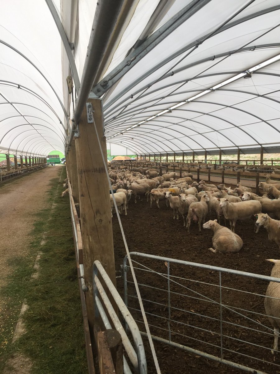 MintEdition's tweet photo. Thanks @SpringSheepMilk for the informative tour today @Kelloggleaders #kellogg34 https://t.co/vaBP7jt3Og