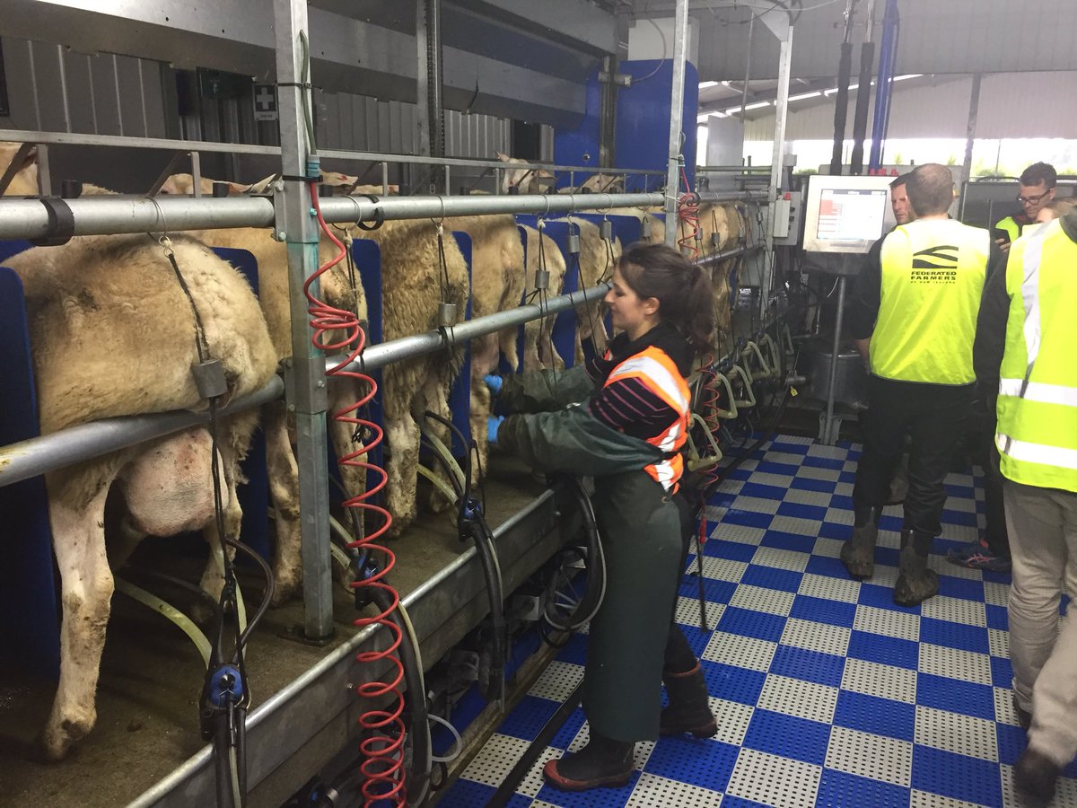 MintEdition's tweet photo. Thanks @SpringSheepMilk for the informative tour today @Kelloggleaders #kellogg34 https://t.co/vaBP7jt3Og