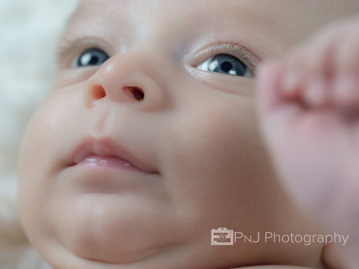 PhotographyPNJ's tweet photo. Brothers 💙💚 #photography #newbornphotography #bestfriends #bestfriendsgoals #brothersforlife #njphotography https://t.co/dBUeE9Ow7N