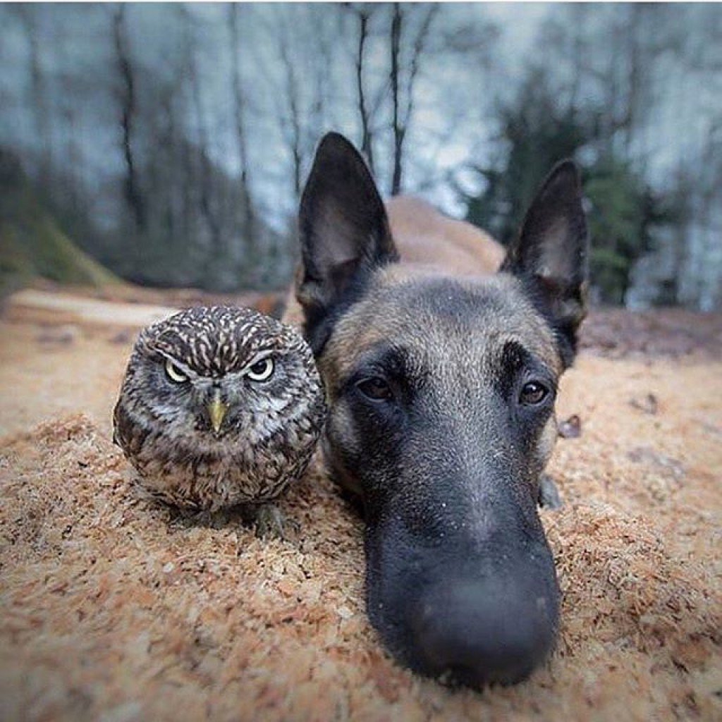 scientificmemo's tweet photo. Please Retweet and Like
Follow this account >> @scientificmemo << for more https://t.co/SZgt3L6VJo