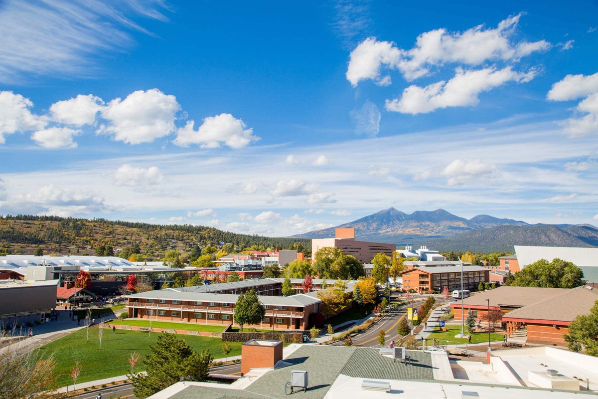abby_riordan's tweet photo. So excited to make my debut at Northern Arizona University next year!! 💛💙 #nauimcomingforu #golumberjacks https://t.co/YwyDlELMiq