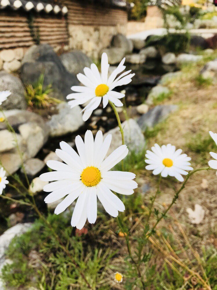 11월 첫 토요일 아침에 보는 가을 모습