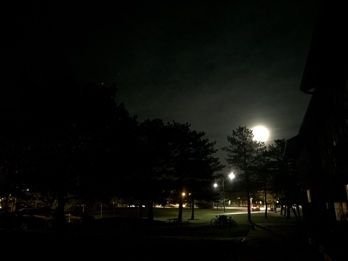 Look at this Michigan moon!