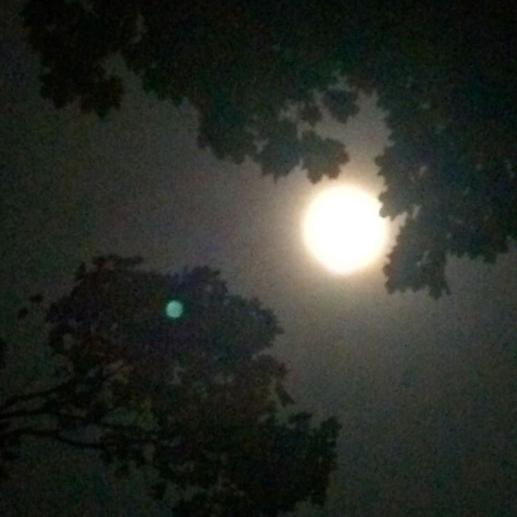 realrivernixie's tweet photo. Writing incantations as the full moon rises. #moonlightmaddness #fullmoon #howlwithme https://t.co/aWanhhsV3j https://t.co/B4hfDMuJzi