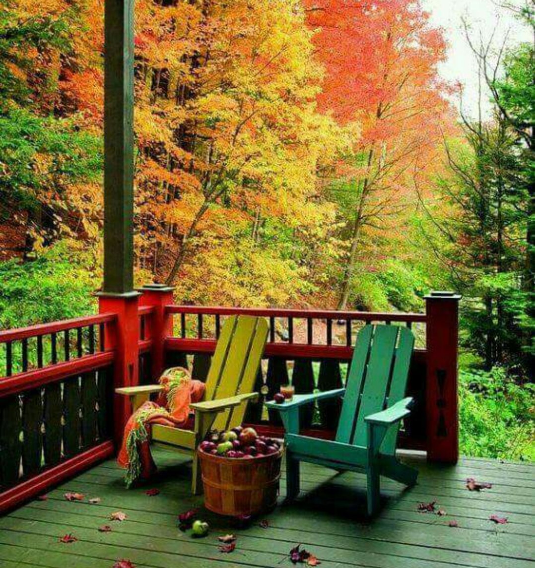 Bugün de hayattan yudumlayabileceğiniz her türlü sevinç mutluluk neşe huzur sizinle olsun...
GÜNAYDIN______ 🍁🍀