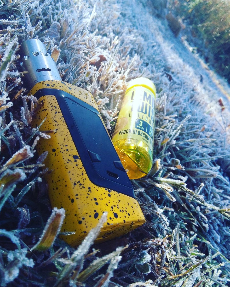 KeechCassie's tweet photo. #vape #vapelife #VAPES #vapefam #vapeon #vapeworld #frostygrass #peachblossom #lemontwist #twistedmesses #photoedit #alienmod #fuckcigs https://t.co/CvWH9gIc97