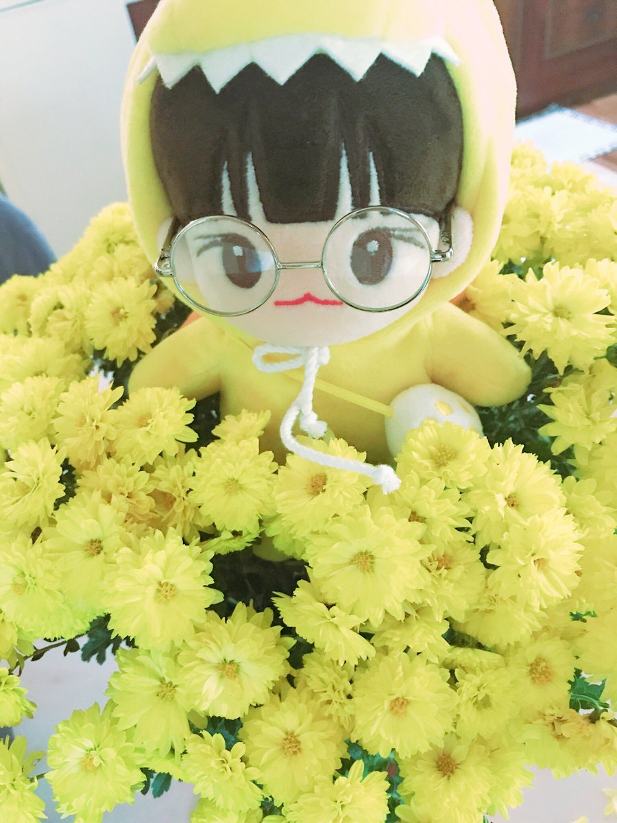 0924_1990_v's tweet photo. 누가 꽃이게~ 
날씨가 너무 춥네요 모두 감기 조심하세요😍 https://t.co/hnGSUsLI2p