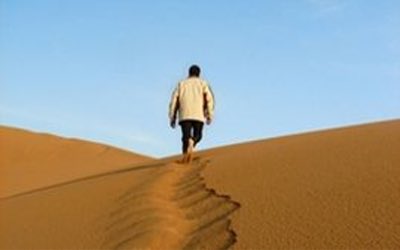 عبدالعزيز الشبيلي tweet media