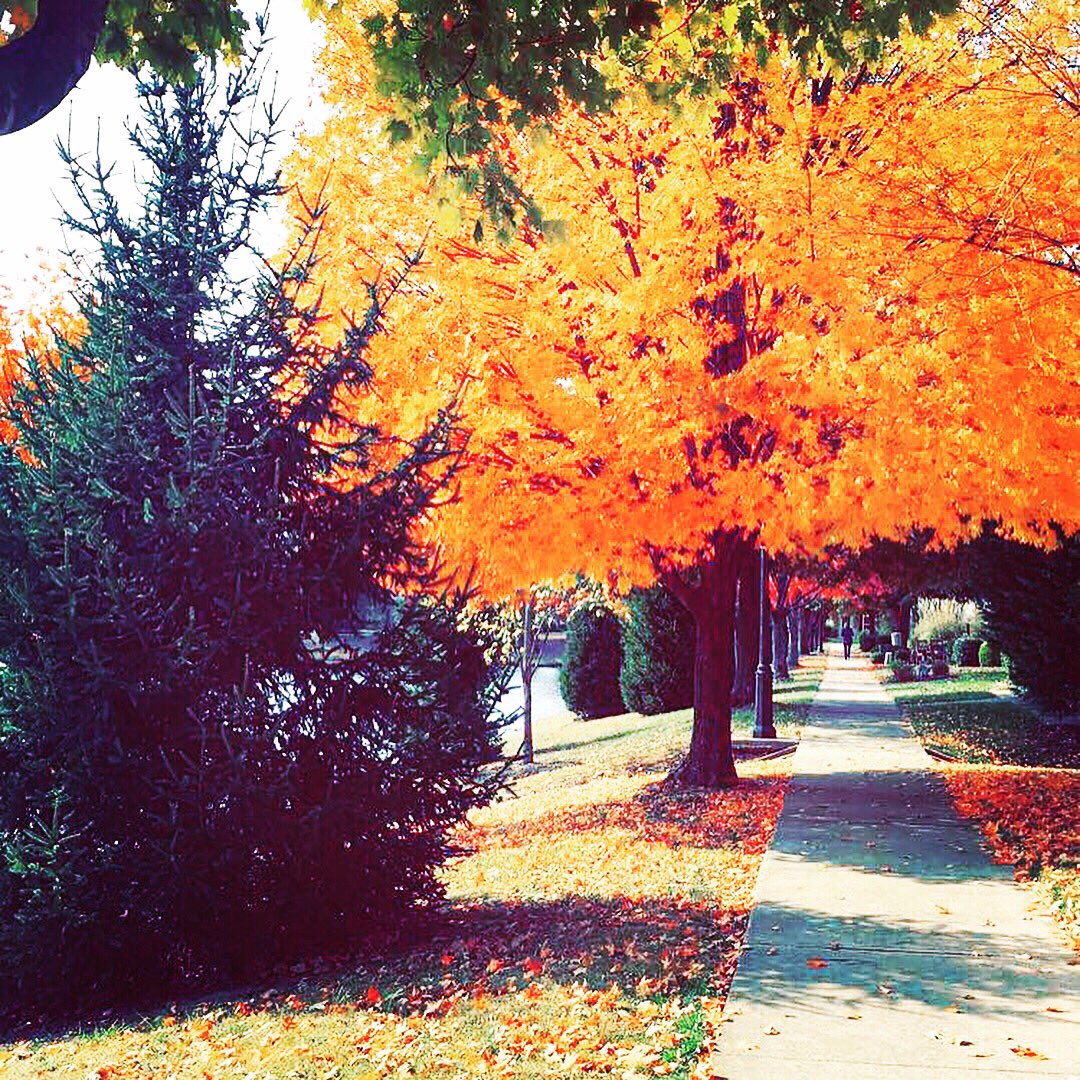 Transition_Expo's tweet photo. Celebrate the fall in NWA ππ
Transition Expo Is coming up! Check out AR businesses 11.14 in Ft. Smith!
#transitionexpo https://t.co/vmqofRMP9L