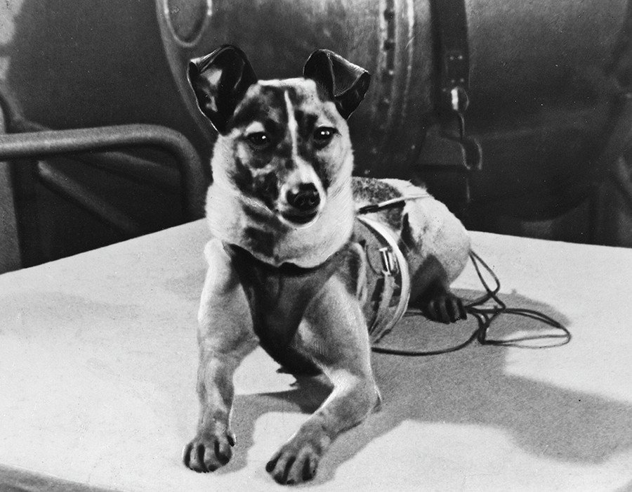 Who was the first earthling in space