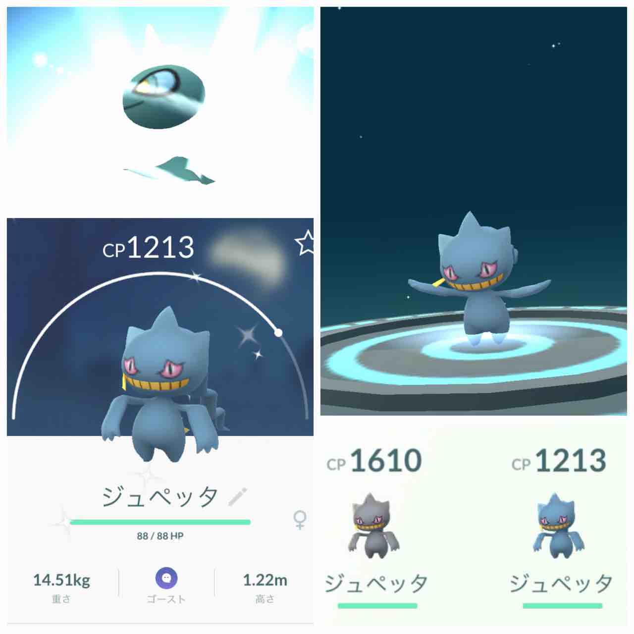 もちチーズのりまき 色違いカゲボウズ 進化させてみたら 色違いジュペッタ になりました ๑ ㅂ و ポケモンgo T Co 4h379ongfx Twitter もちチーズのりまき 色違いカゲボウズ 進化させてみたら 色違いジュペッタ になりました ๑ ㅂ و ポケモンgo T Co 4h379ongfx Twitter