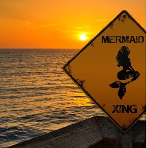 streetSinger9's tweet photo. #FloridaSigns https://t.co/fn17yMG2NS