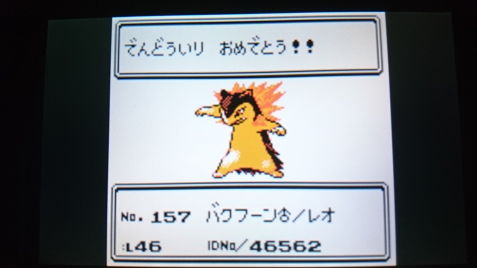 センジ ニドキングのがんば ハクリューのリュリー バクフーンのレオ ポケモン金銀