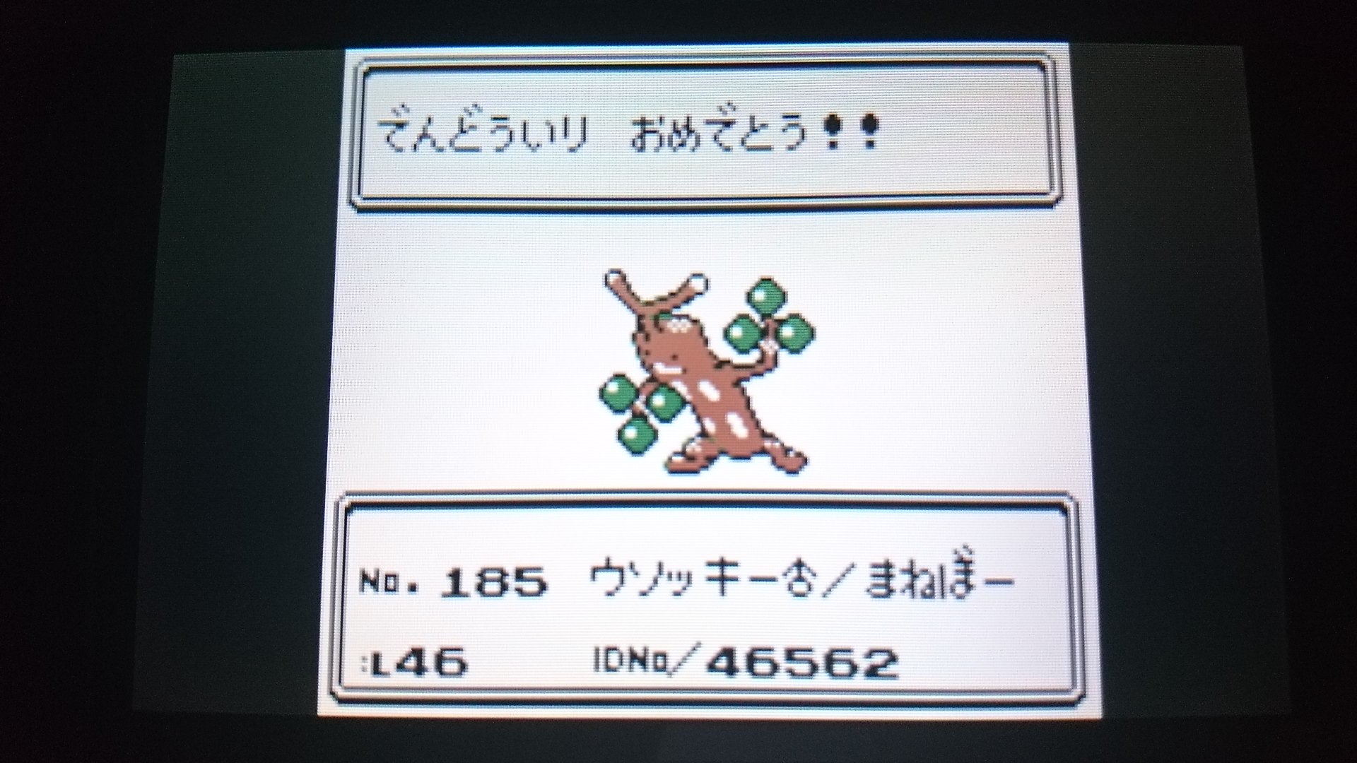 センジ ついに殿堂入り 長かった旅もひとまず終わりです ポケモン金銀 T Co 5ir13lcvaq Twitter