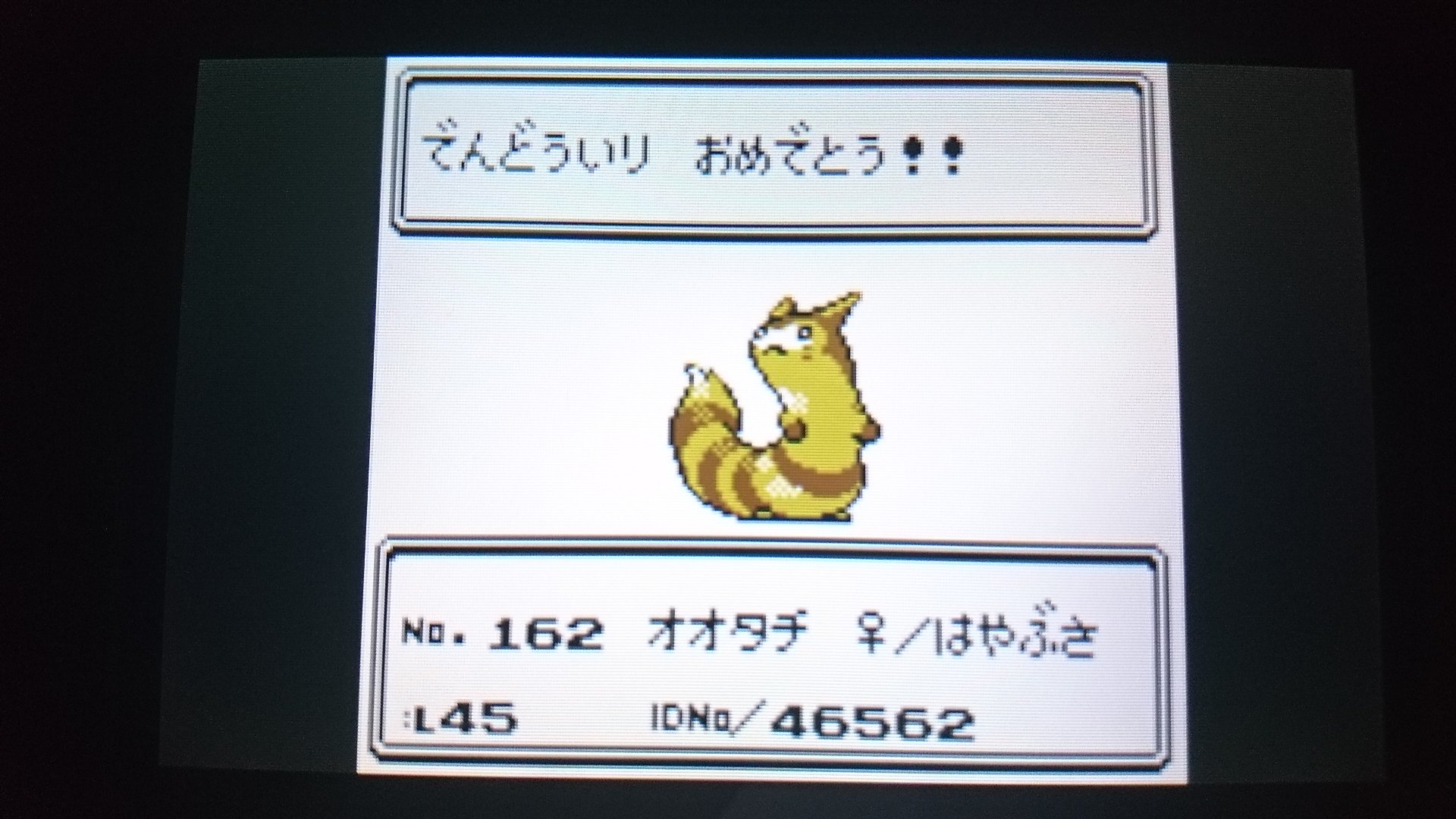 センジ トゲチックのにこぴー オオタチのはやぶさ ウソッキーのまねぼー ポケモン金銀 T Co Irbucmvtmb Twitter
