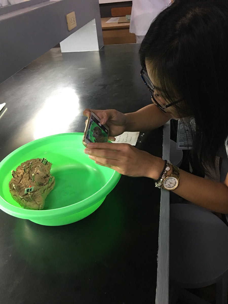 TheGame3015's tweet photo. Medical School today 😂😂😂 Hi @lielalyle 😁😁😁 https://t.co/HAm9cyDada
