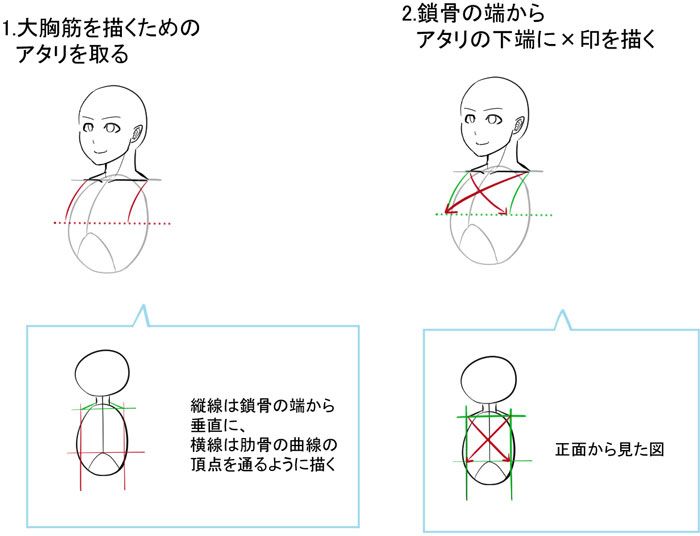 いちあっぷ Pa Twitter 胸の描き方 ２種類の骨でデッサンが決まる 胸の描き方 いちあっぷ T Co Ujh9cwmavd 絵が上手くなる記事はコレ