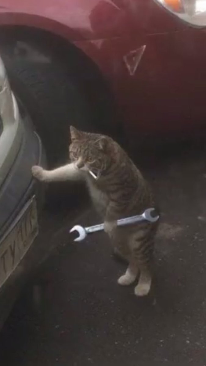 sofihiIo's tweet image. self portrait of me trying to get my life together