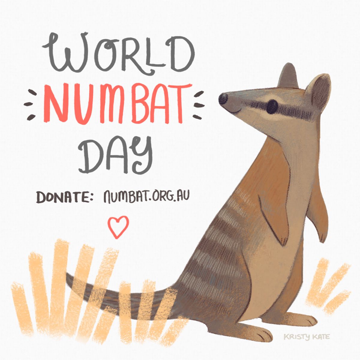 Today is #worldnumbatday, a day to celebrate, raise awareness and protect the state emblem of Western Australia #numbat ♡