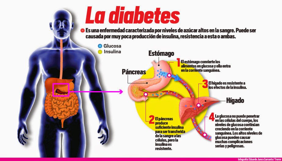Cetosis y peligro de diabetes