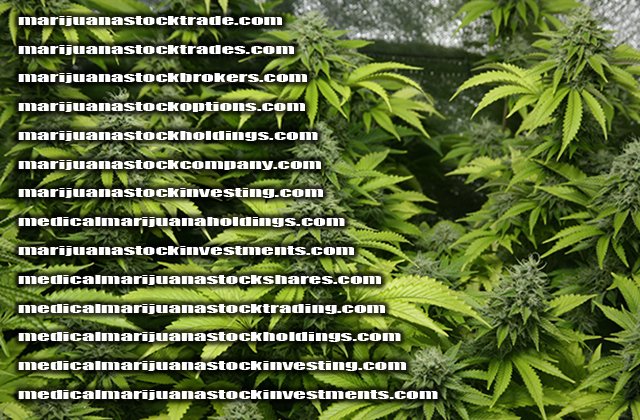webnamedomains's tweet photo. #marijuana #cbd #florida #medicalmarijuana #florida #colorado #canibidiol #cannabis #treat #idea #branding #marketing #business FOR SALE! https://t.co/yMXrTynqr0