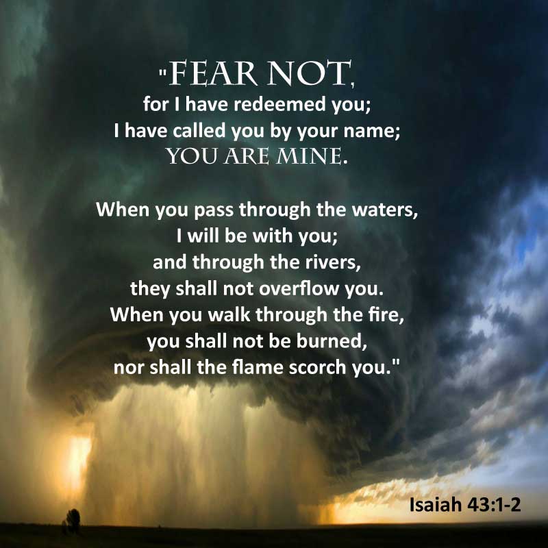 cat_1012000's tweet photo. Nov4-10 #PrayerWarriors #Pray4America #Pray4Strength Father, Strengthen our resolve to do ur will. Prepare us for what is to come. https://t.co/LIM3xRfYzr