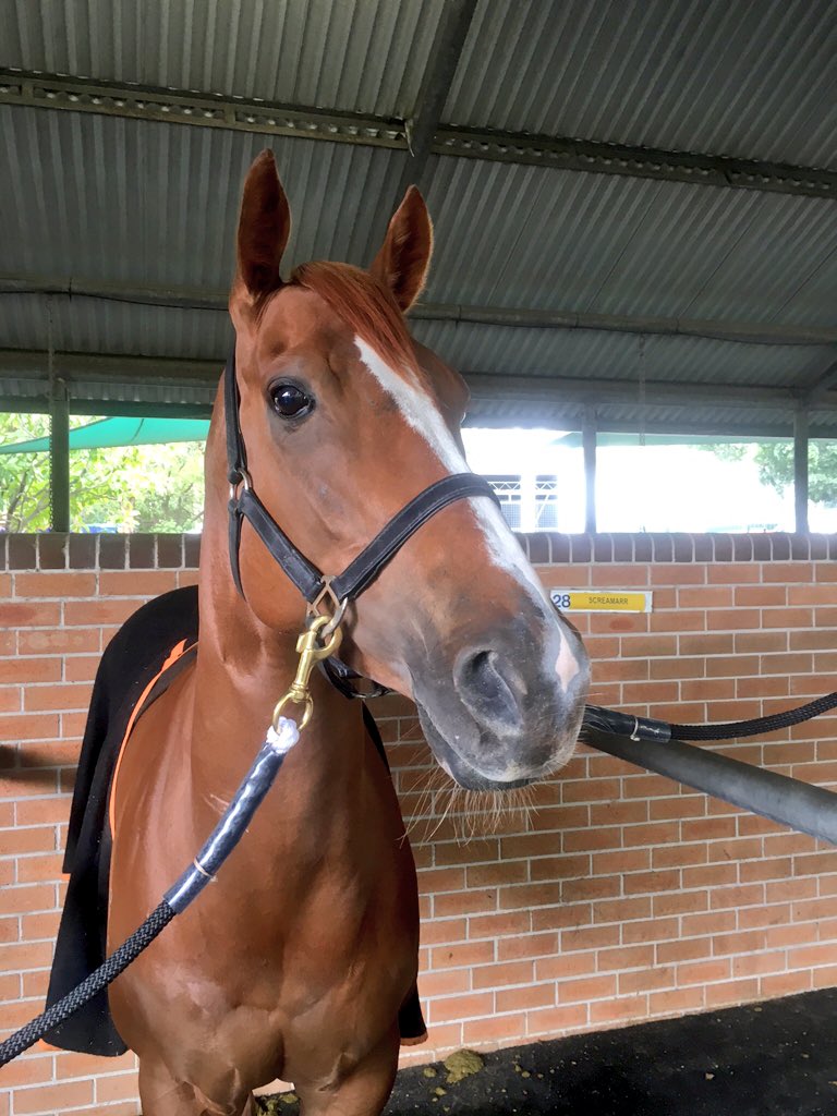 beermitchell's tweet photo. The calm before the storm
#Gwenneth https://t.co/nACzaXhGeB
