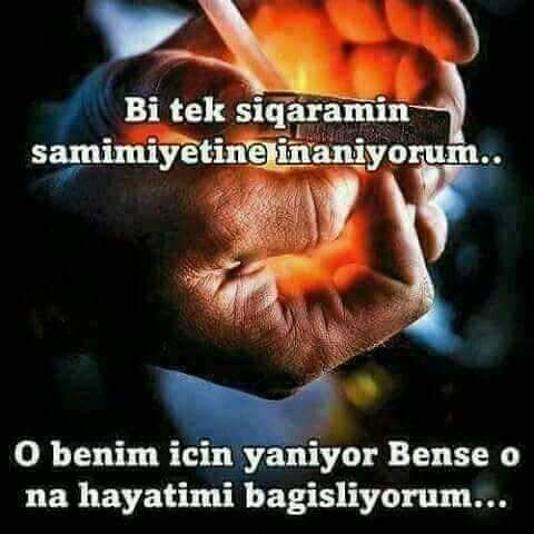 Mustafa Demir (@mustafa23831948) on Twitter photo 