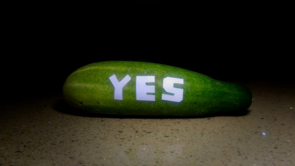 rombutans's tweet photo. If you're looking for a sign,

Ito na yun.

This is not a pipino.

This is a

P I P I Y E S . https://t.co/nNDuJtoBqZ