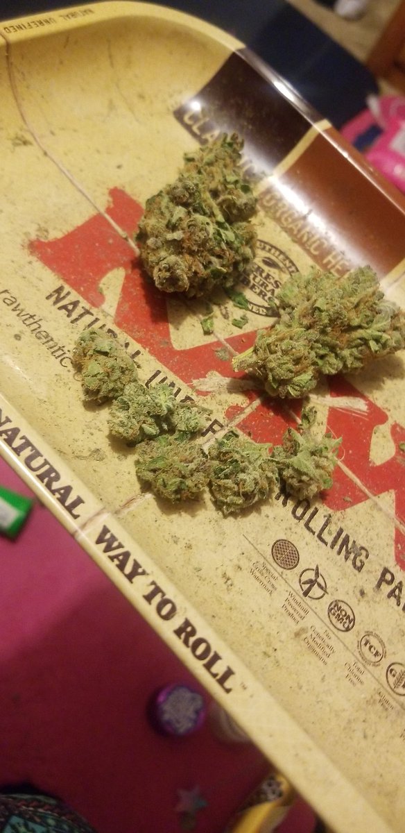 maurieMUA's tweet photo. This is beautiful. I love the big nugs! Launchpad #2 @rawlife247 #weedporn #Launchpad2 https://t.co/QaISKfL9FX