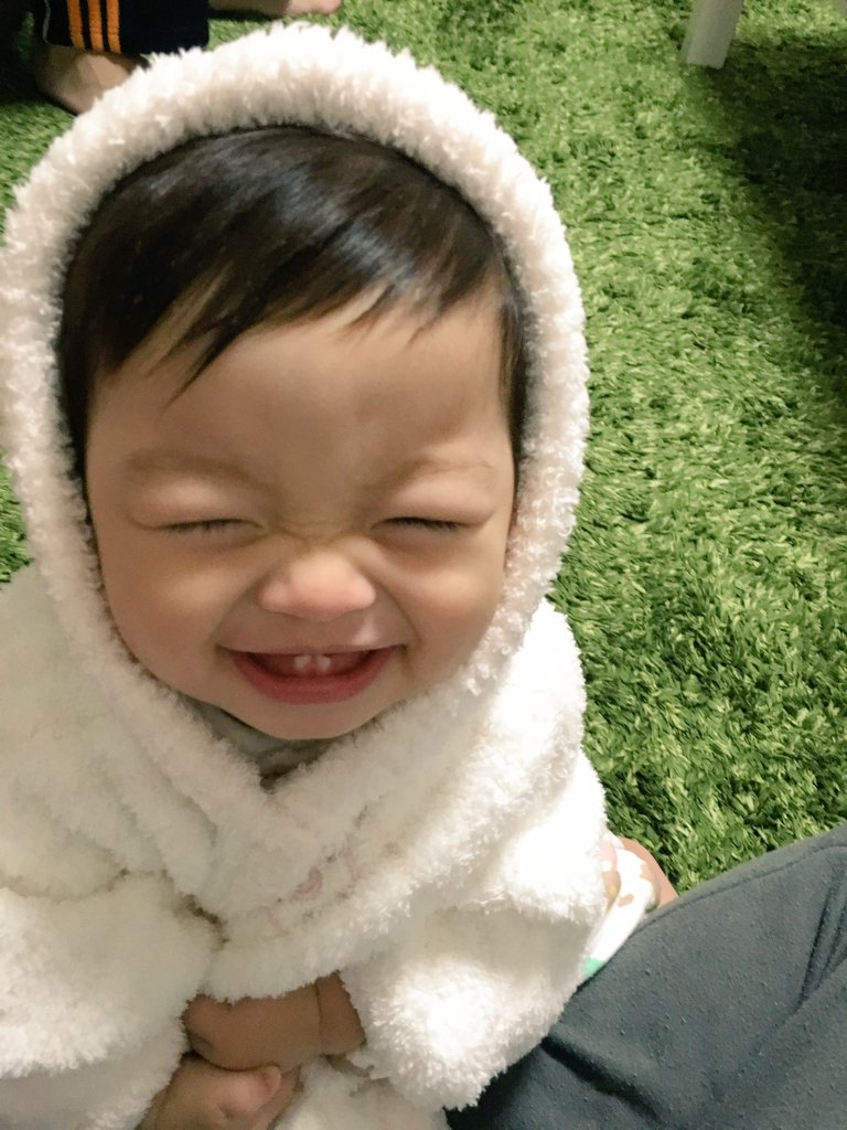 MoriTm's tweet photo. 最近この顔で走ってくるけん
可愛くてたまらん😇😇😇
そして股のあいだにちょこんと
座らすwwww https://t.co/OtIrUD3qOZ
