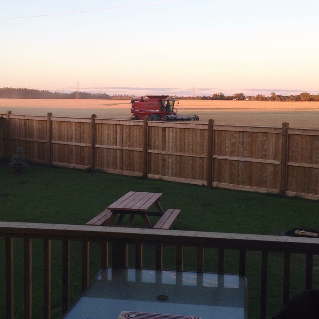 Chad Samain On Twitter I Have No Issue With My Winnipeg Backyard