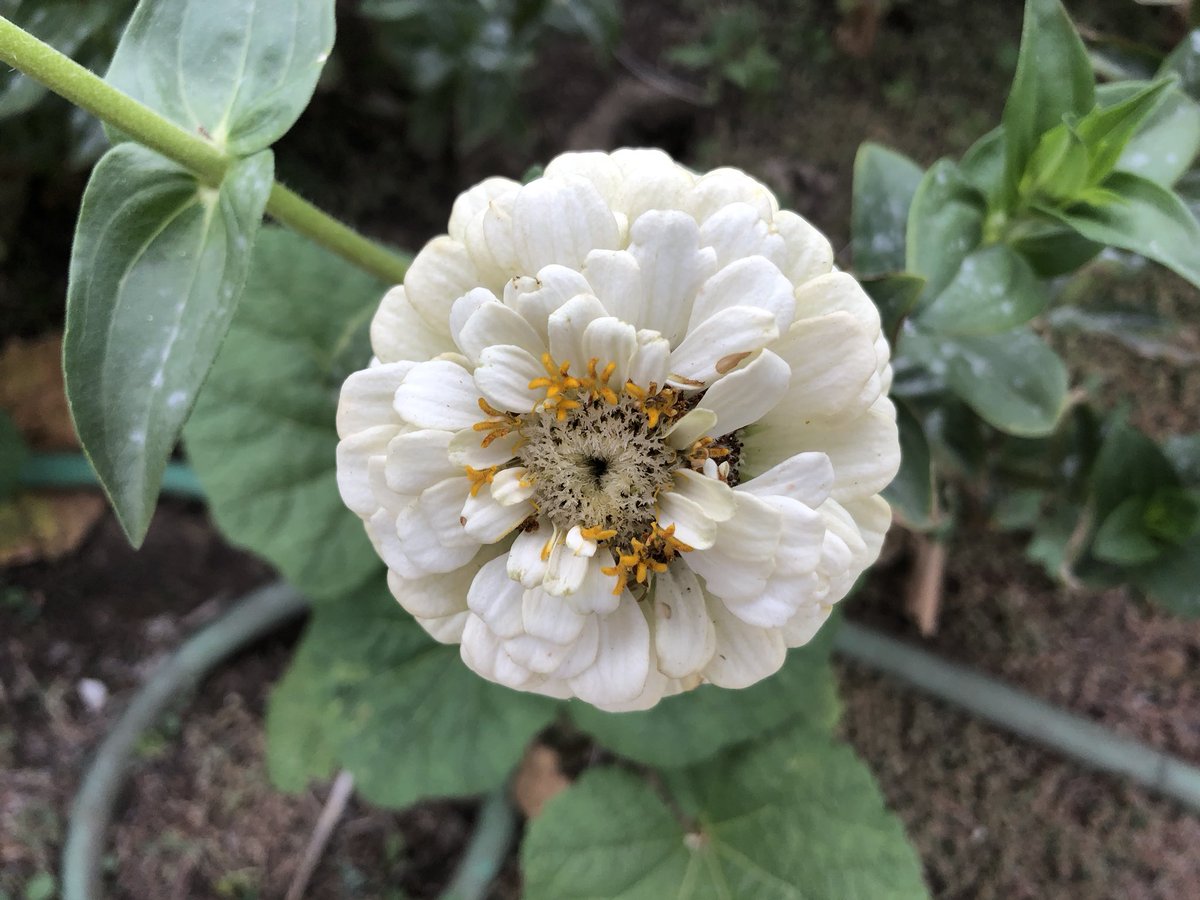 ReviewTheBest's tweet image. Captured with iPhone X! #AppleNews #iPhoneX #ReviewTheBest