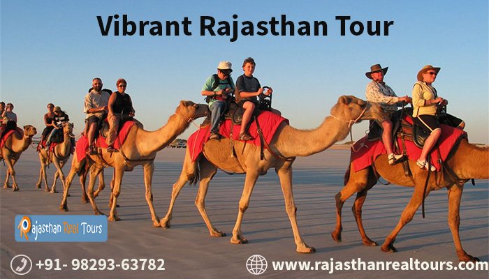 RajasthanReal's tweet photo. #rajasthanrealtours #vibrantrajathantourpackage #desert #camelsafari #history #culture #heritage #bestdeals #enjoy
https://t.co/i7DGNaKfWo https://t.co/osNELTNPab