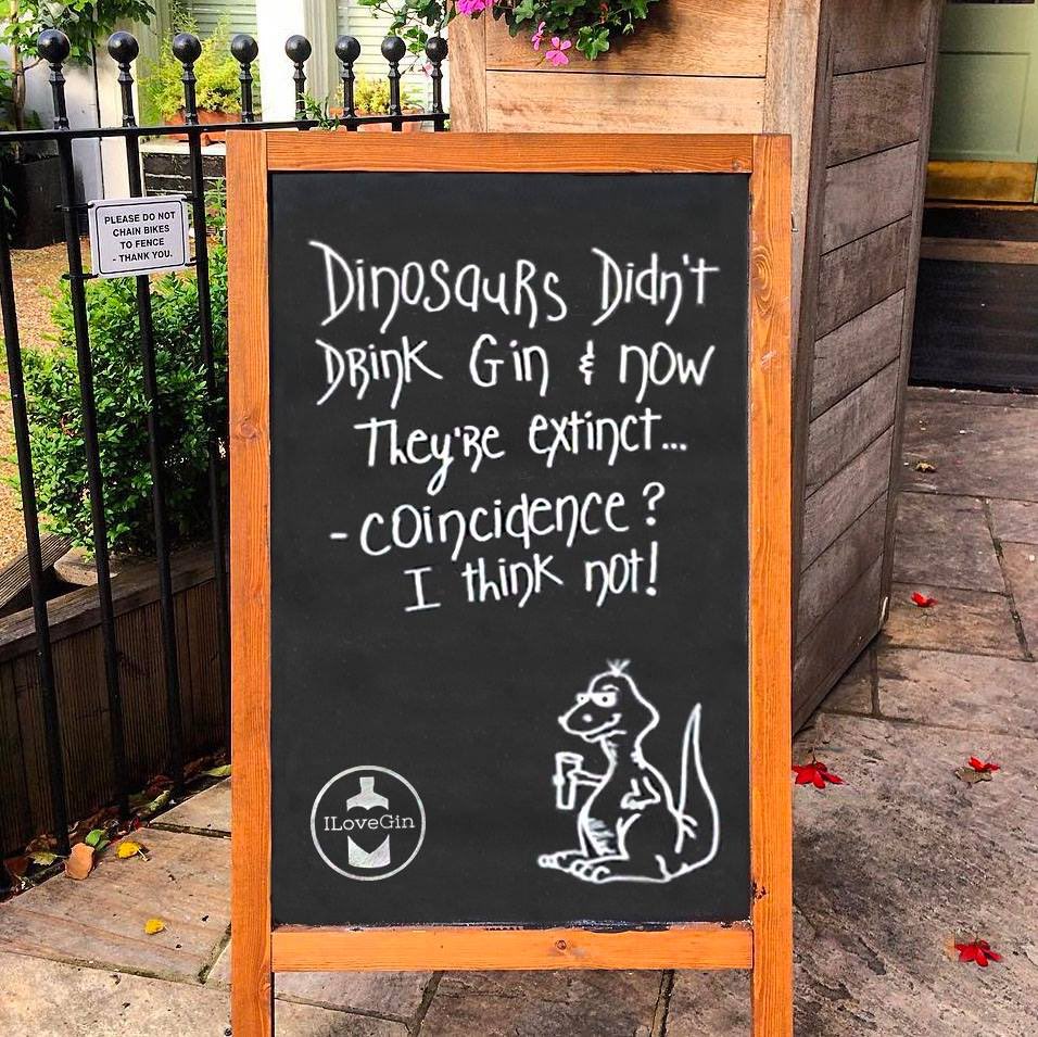 thesinofgin's tweet image. I had already worked this out, I’m obviously going to live for ever. 😀🍸