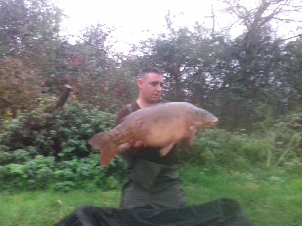 LeeMac75199770's tweet photo. @deanpowerlfc  @CoreBaits_uk  lovely 35 mirror oxlease @Hauling4Cancer https://t.co/4DqkcY9iMV