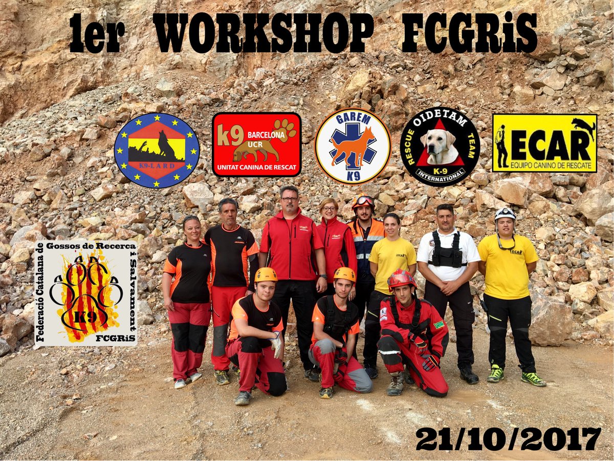 K9BarcelonaUCR's tweet photo. Entrenando con los colegas!!!#k9barcelonaucr #k9 #k9dogs #fcgris #federación #federaciocatalanagossosrecercaisalvament #sos #perrorescate https://t.co/h37twvOklH