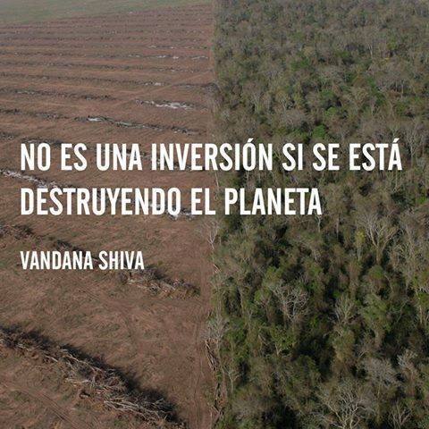 Ecogranjero's tweet photo. los bosques son los pulmones del mundo, absorben CO2 y producen el oxígeno que respiramos... NO a la #deforestación https://t.co/iALcsFk8zv