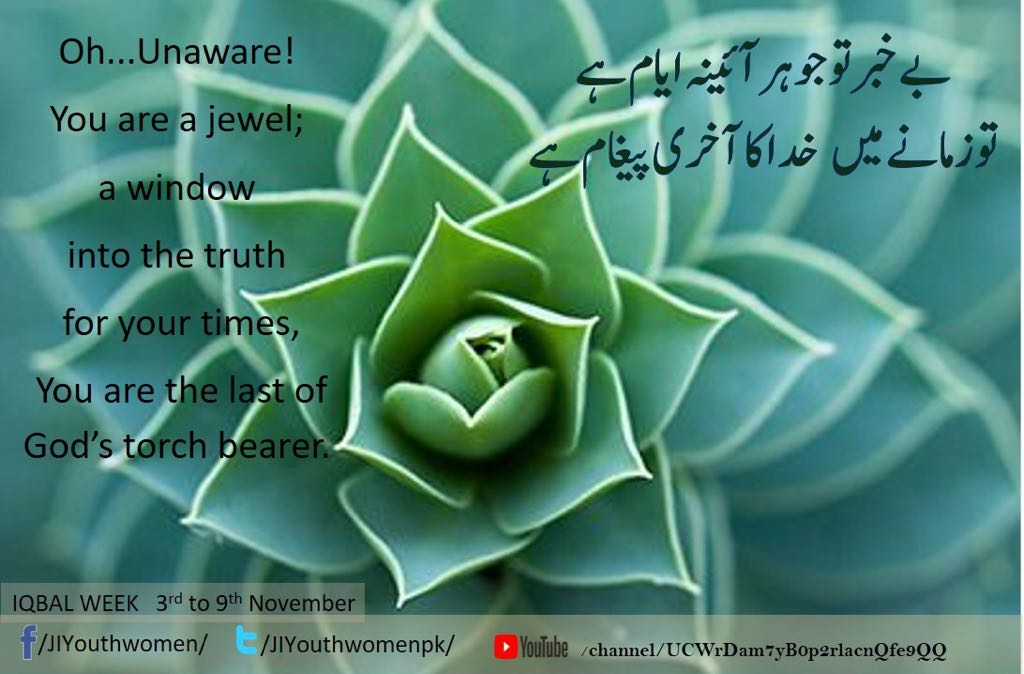 JIYouthWomenPK's tweet photo. #IqbalWeek
بےخبرتو جوہر آئینہ ایام ہے
توزمانے میں خدا کا آخری پیغام ہے
آج بھی ہو اگر ابراہیم سا ایمان پیدا
آگ کر سکتی ہے انداز گلستاں پیدا https://t.co/ICLEtOh2wd