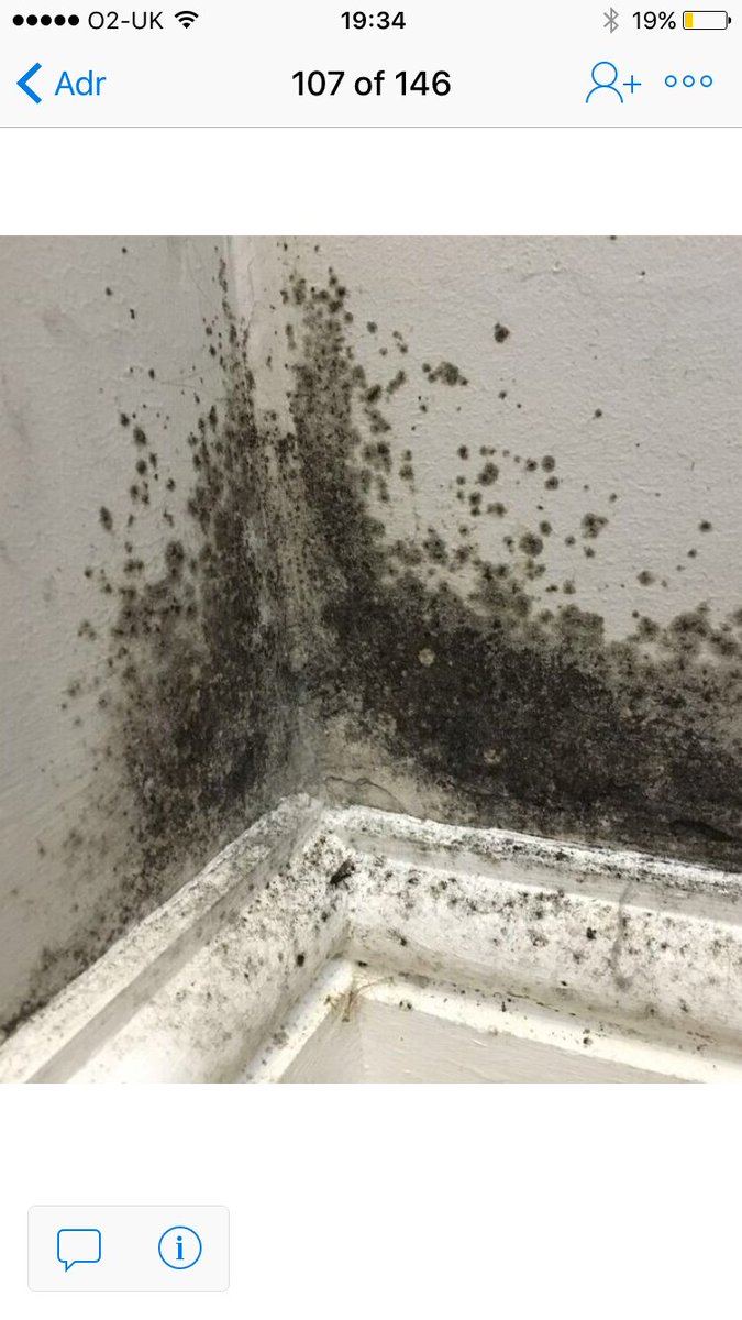 beautycheadle's tweet photo. @CavitywallCIGA £250 compo for a home covered in mould with a baby & young child #cwiproblems #blackmouldkills #Cavitywallinsulation https://t.co/Gwod22UENP