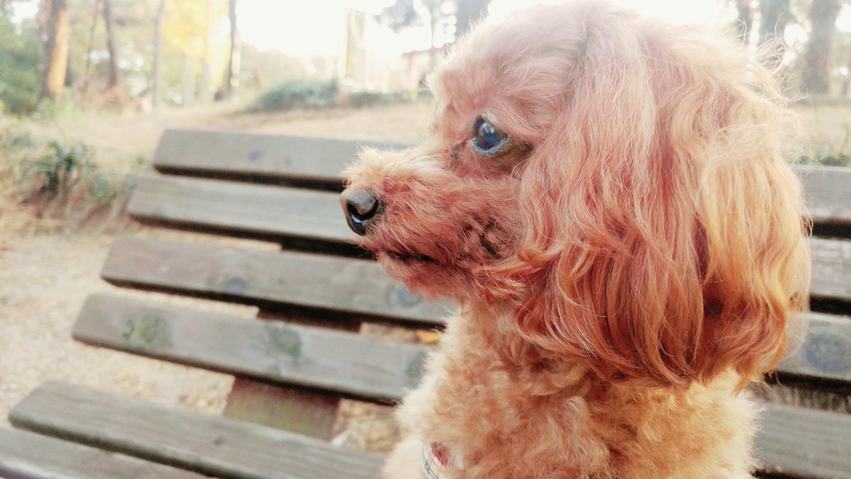가을여자🍂🍂