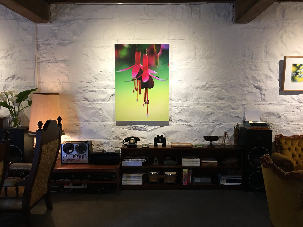 Sian_NP's tweet photo. Beautiful art at #ubugallery in th #fyansfordpapermills wonderful for th #soul #Mentalhealth @davrosz @NatishaSands @JasonTrethowan #geelong https://t.co/IWhmBGtWVo