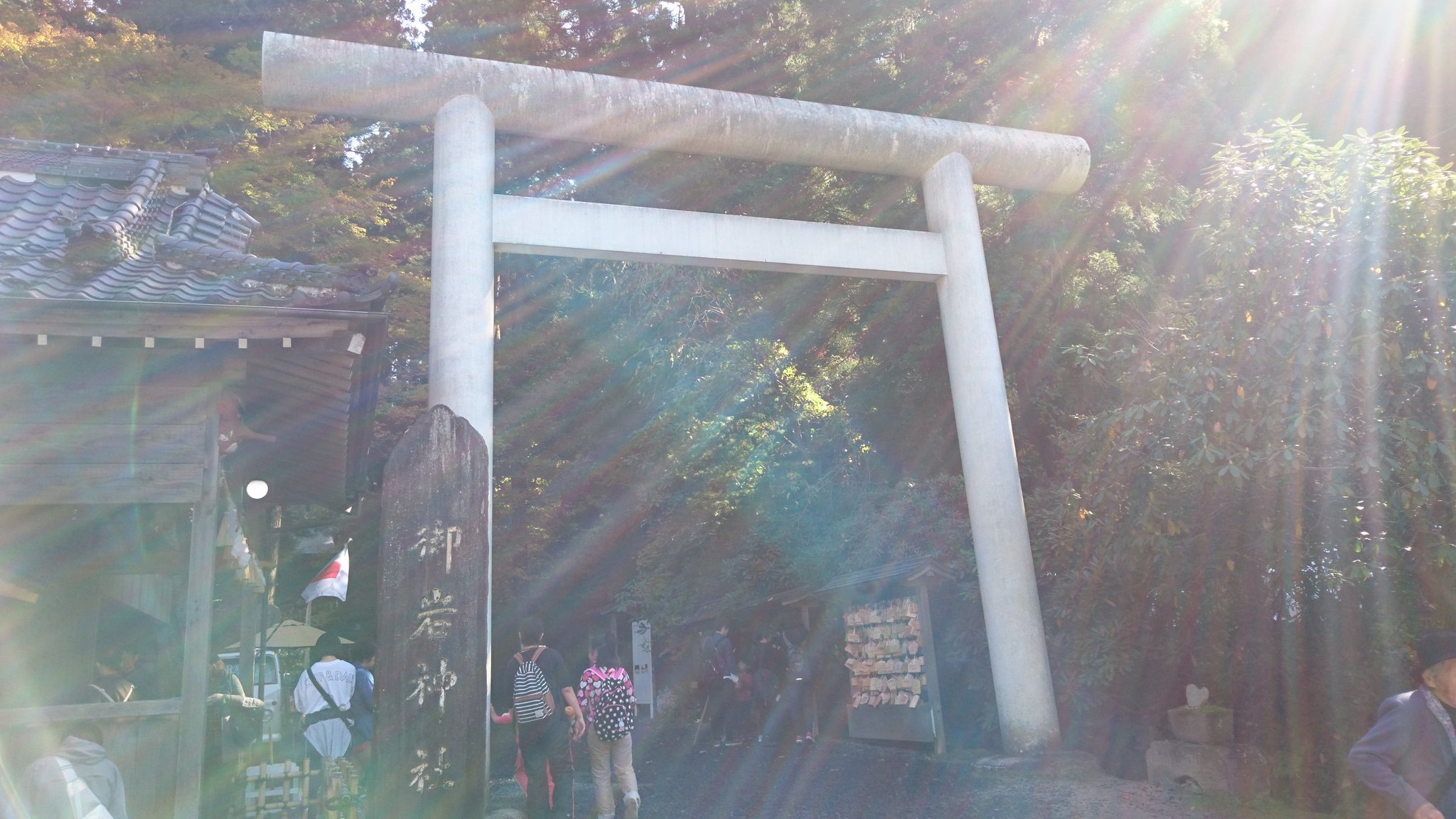 なお 日立市に鎮座する 御岩神社 パワーを頂いてきました ᵕᴗᵕ 神社仏閣巡り 神社参拝 日立市 御岩神社 パワースポット 光の柱 苔と紅葉 T Co Ntoitwrw9h Twitter