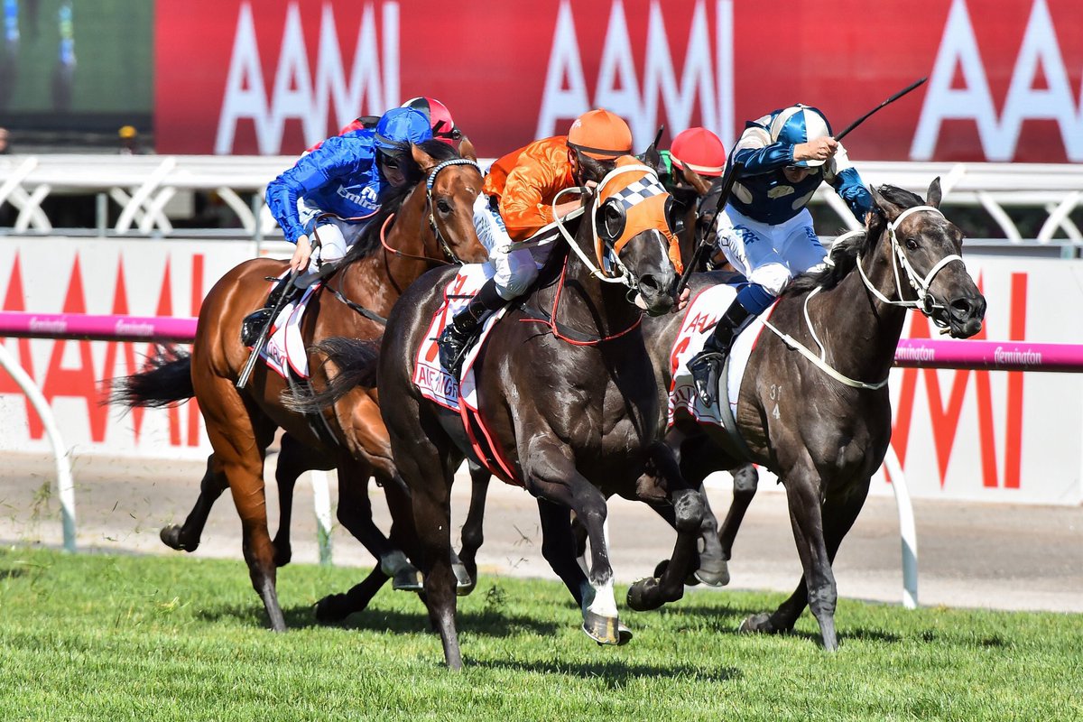 Angland Jockey Management tweet media