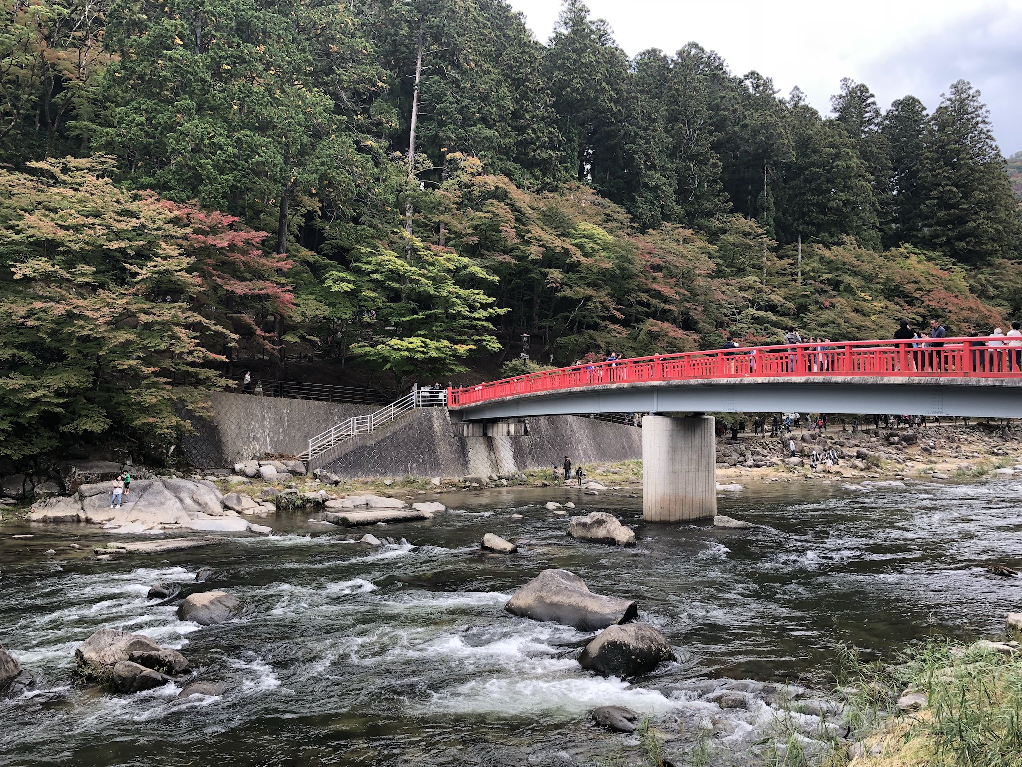 おマメ 全然紅葉してない香嵐渓 寒くなくて道空いてて美味しいもの食べまくって満足でした O T Co Ybklkaa3jo Twitter