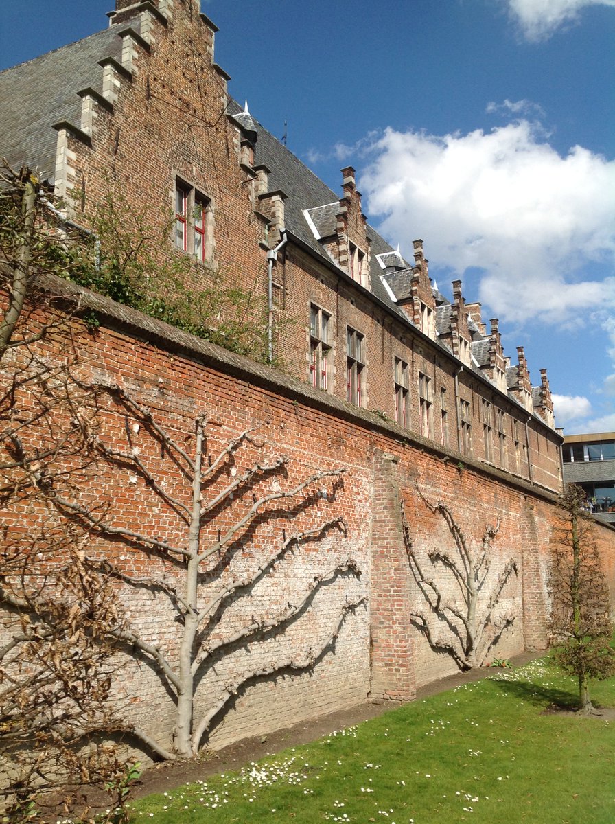 Op 4 en 5 /11 is de tuin van de aartsbisschop open. Kom jij ook? <a href="/StadMechelen/">Stad Mechelen</a> , <a href="/prov_antwerpen/">Provincie Antwerpen</a> , <a href="/LukLemmens/">Luk Lemmens</a>, @UiTinMechelen , #2800love